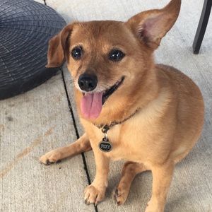 Meet your Posher, Jason